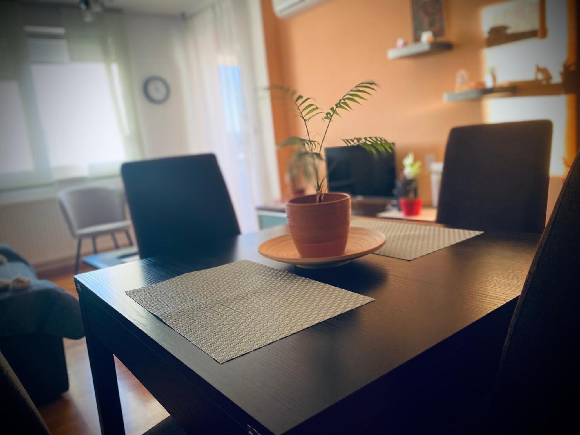 Apartman “Zara” Zagreb Eksteriør bilde